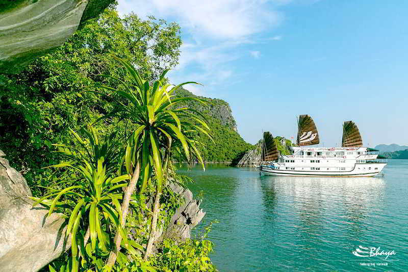 Bhaya Classic Cruises Ha Long Exteriér fotografie